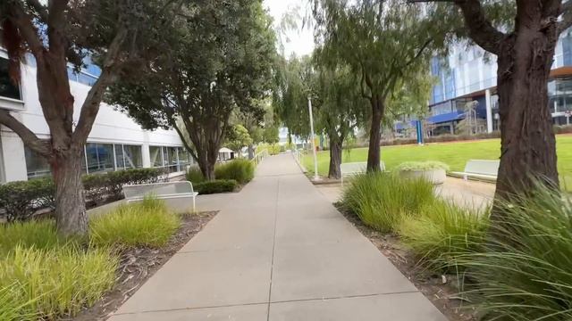 США накрыла безработица, программисты сосут лапу Моё интервью в Apple смотреть онлайн