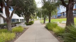 США накрыла безработица, программисты сосут лапу  Моё интервью в Apple