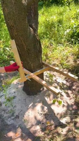 Как сделать скамейку на дереве в саду