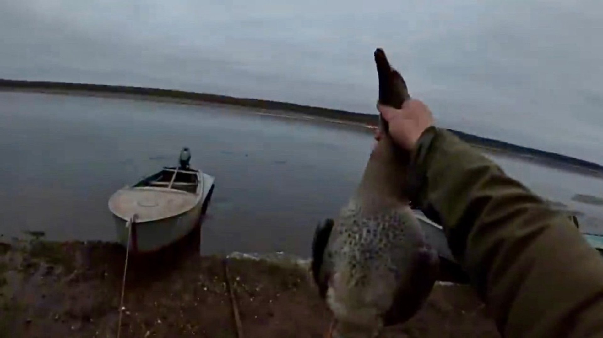 Охота на утку и гуся. Очень странный гусь! смотреть онлайн