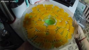 Переработка тыквы в ванильные цукаты.