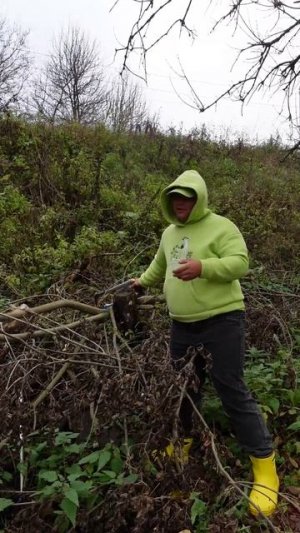 надо было сразу покупать ЭТО, а не  тратить деньги НА…