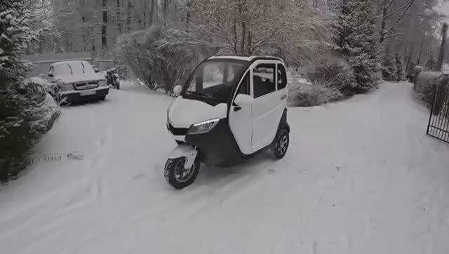 TRISCOOTER REDANT электрический трицикл с кабиной