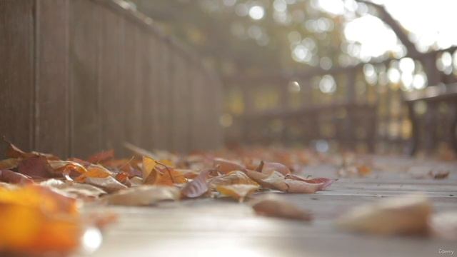 1 - Introduction смотреть онлайн