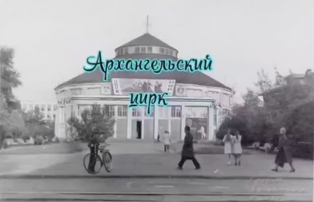 История Архангельского цирка.