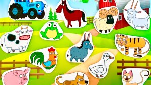 Синий трактор липучки | видео для детей |