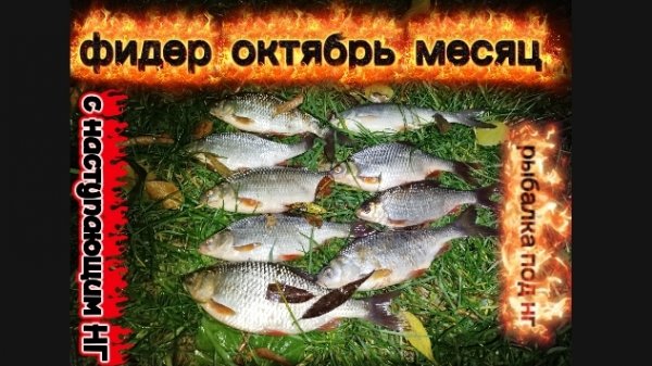 Рыбалка на фидер ОКТЯБРЬ 2025