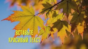 Осенняя пора Футажи для видеомонтажа скачай free