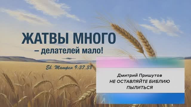 "НЕ ОСТАВЛЯЙТЕ БИБЛИЮ ПЫЛИТЬСЯ" | Дмитрий Пришутов