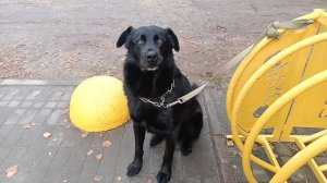 "Жизнь на пенсии".. Хроника дня - мои будни!!