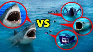 МОЙ ДРОН снял МЕГАЛАДОН vs ПОЖИРАТЕЛЯ МОРЕЙ, ЭЛЬ-ГРАН-МАЙЯ И БЛУПА — Они СТОЛКНУЛИСЬ в Океане!