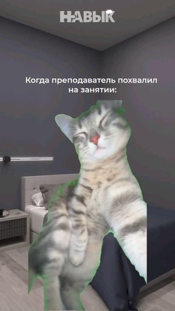 Преподаватель похвалил на занятии