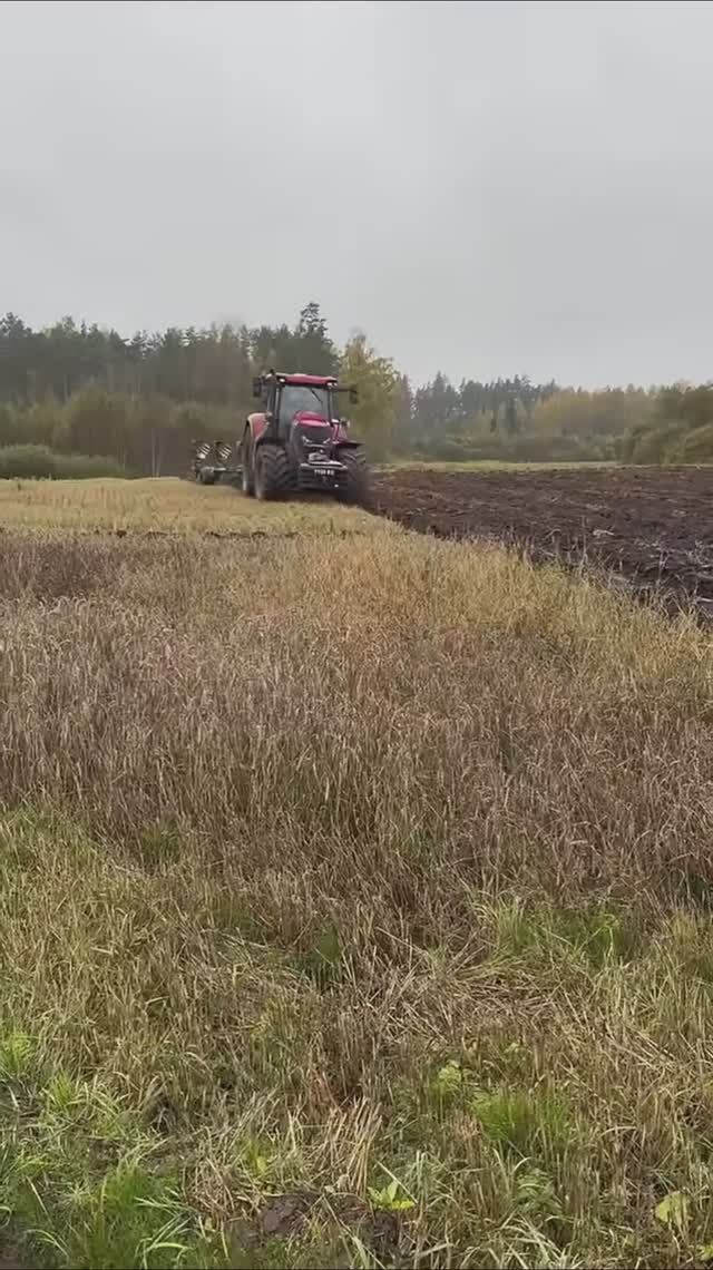 Трактор🚜 Case IH Optum 250 CVX смотреть онлайн