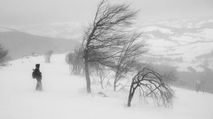 Интересная история из жизни  «МЕТЕЛЬ ЖИЗНИ».