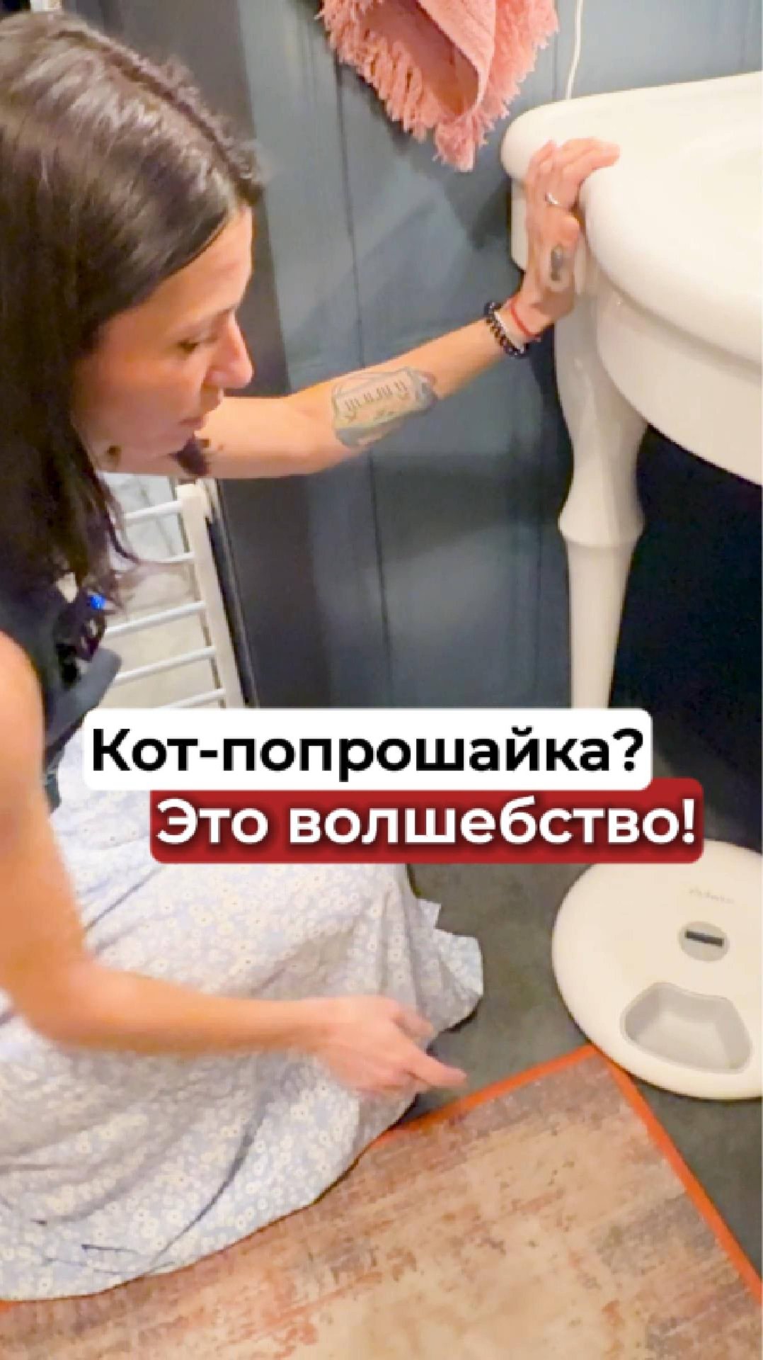 Эта миска изменила жизнь моей кошки навсегда 😻 смотреть онлайн
