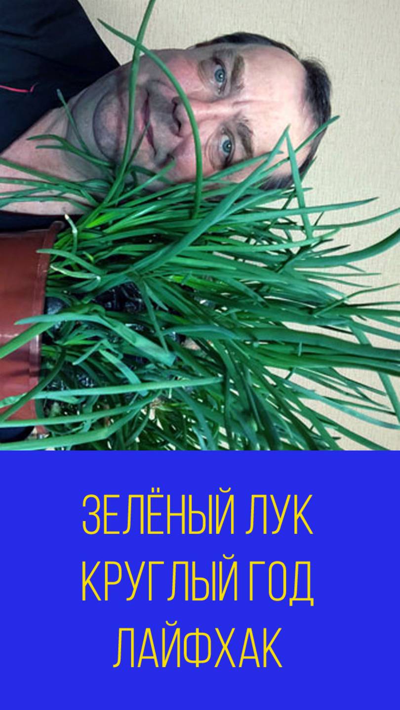 Зелёный лук круглый год лайфхак. Мальковский Вадим смотреть онлайн