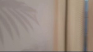 vlog / С РЕБОРНОМ Евой🩷 кормим и играем с Евой 🩷 весело проводим время