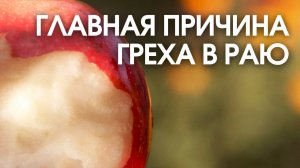 Грех в Раю до грехопадения, отчего появился грех как возник что послужило падению#МаксимКаскун