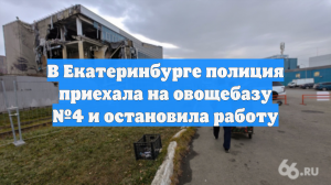 В Екатеринбурге полиция приехала на овощебазу №4 и остановила работу