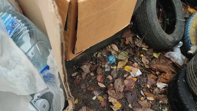 Находки на мусорках города #14 смотреть онлайн