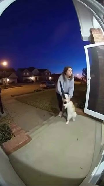 не забывайте вовремя кормить кота смотреть онлайн