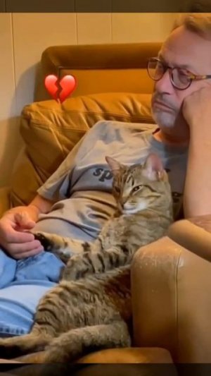 Кошки любят мужчин