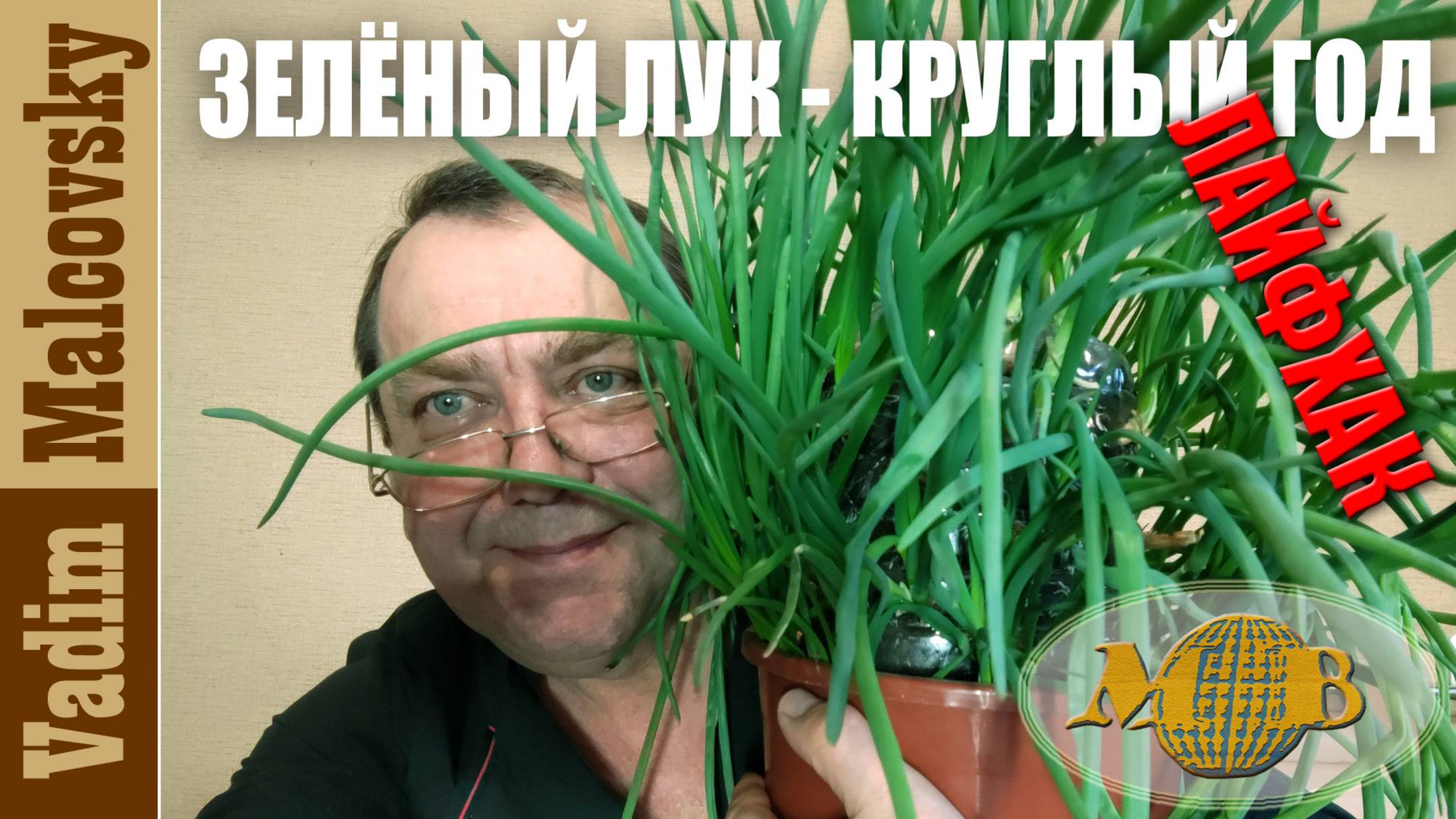 Зелёный лук круглый год лайфхак. Мальковский Вадим смотреть онлайн