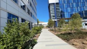 Америка разоряется, а мы абсорбируем