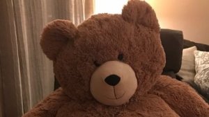 Концерт под окном для детей