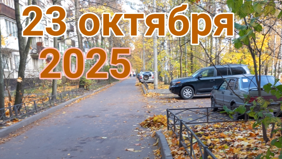 23 октября 2025. Растаможенка. Невстречающий кот. смотреть онлайн