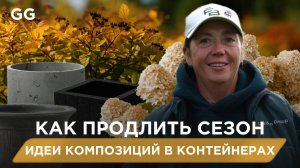 Не убирайте контейнеры на зиму! Что посадить в горшки осенью для красоты сада