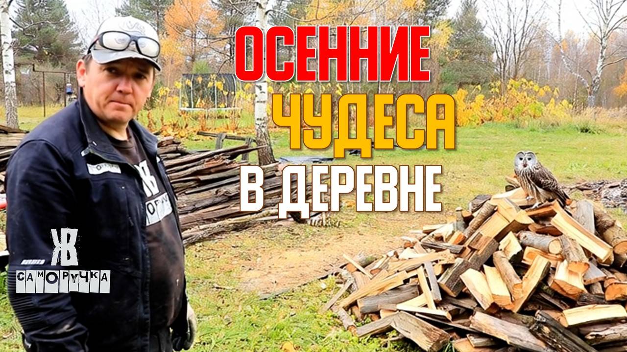 Фантастическая история в деревне! Теплица «Саморучка»: Честный отзыв через 5 лет. Что сломалось? смотреть онлайн