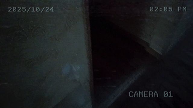 1 серия (3 часть) скибиди туалет