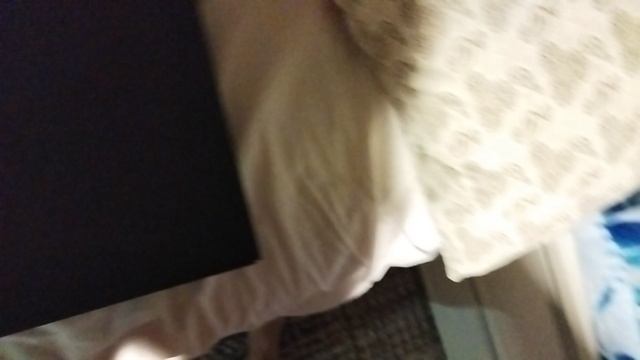 Приключения ТНТ Цветной Картон 3 Серия 2025 смотреть онлайн