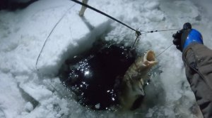 ПЕРЕМЕТ | 23.10.2025 | ВТОРАЯ ПРОВЕРКА