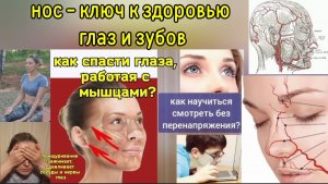 Мышцы носа блокируют артерии, питающие глаза, зубы и десны. Методы декомпрессии