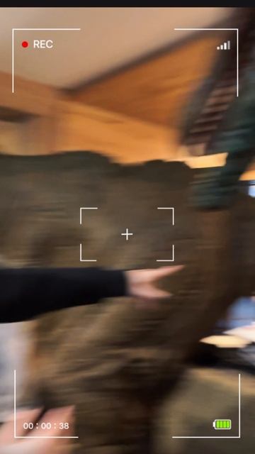 Праздник в стиле Роблокс Вселенной смотреть онлайн