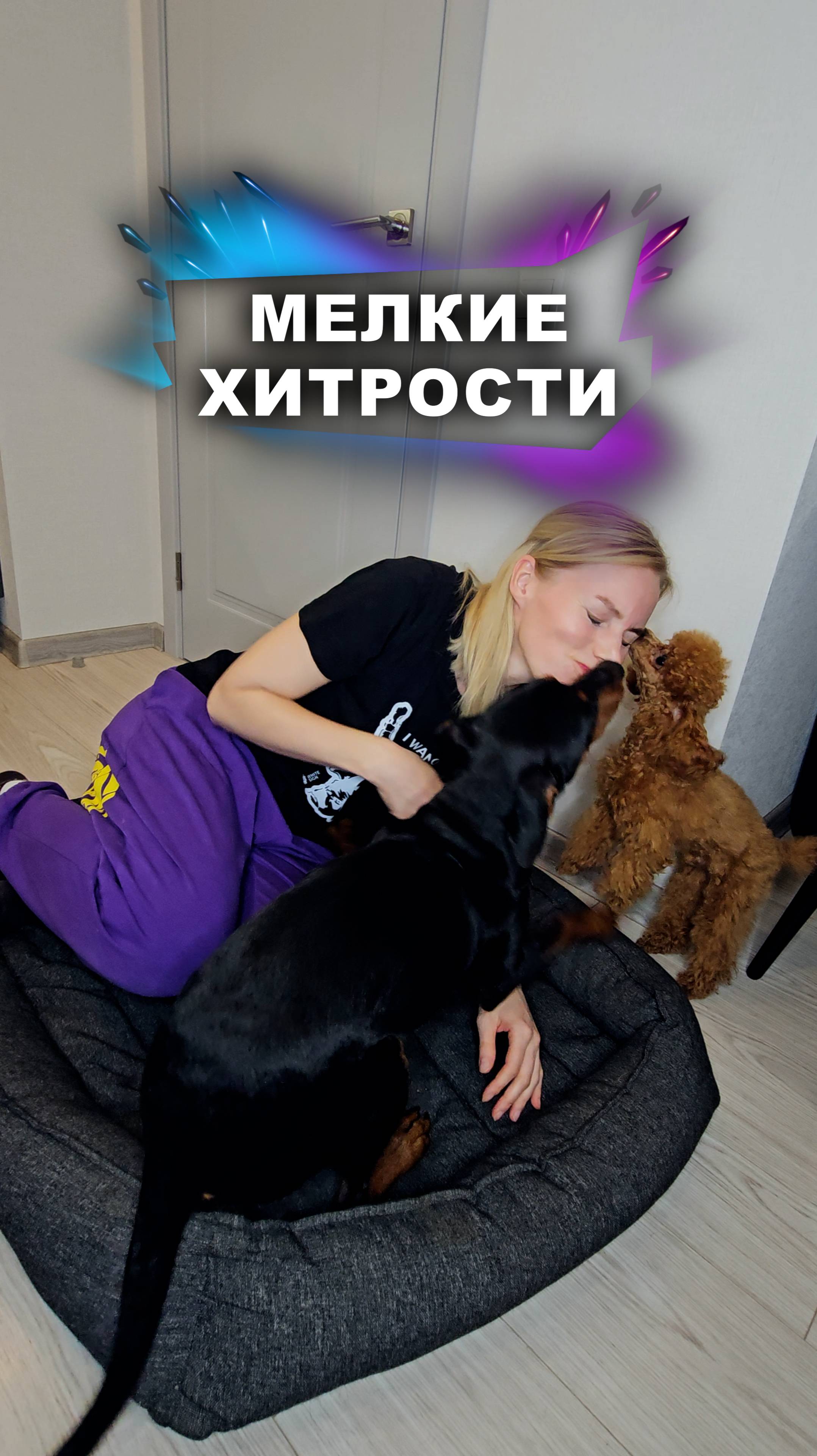 Лайфхак от собак #животные смотреть онлайн