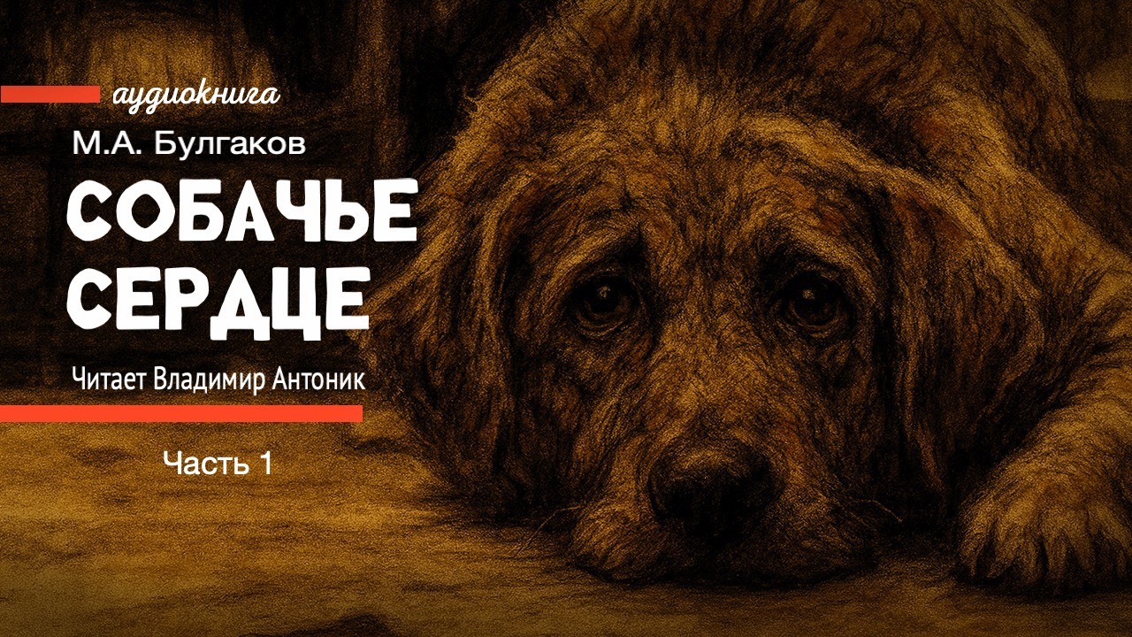 «Собачье сердце». М.А. Булгаков. Часть 1. Аудиокнига. Читает Владимир Антоник. смотреть онлайн