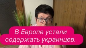 Сотни украинских беженцев в Германии с венгерскими паспортами. #новости #беженцыизукраины