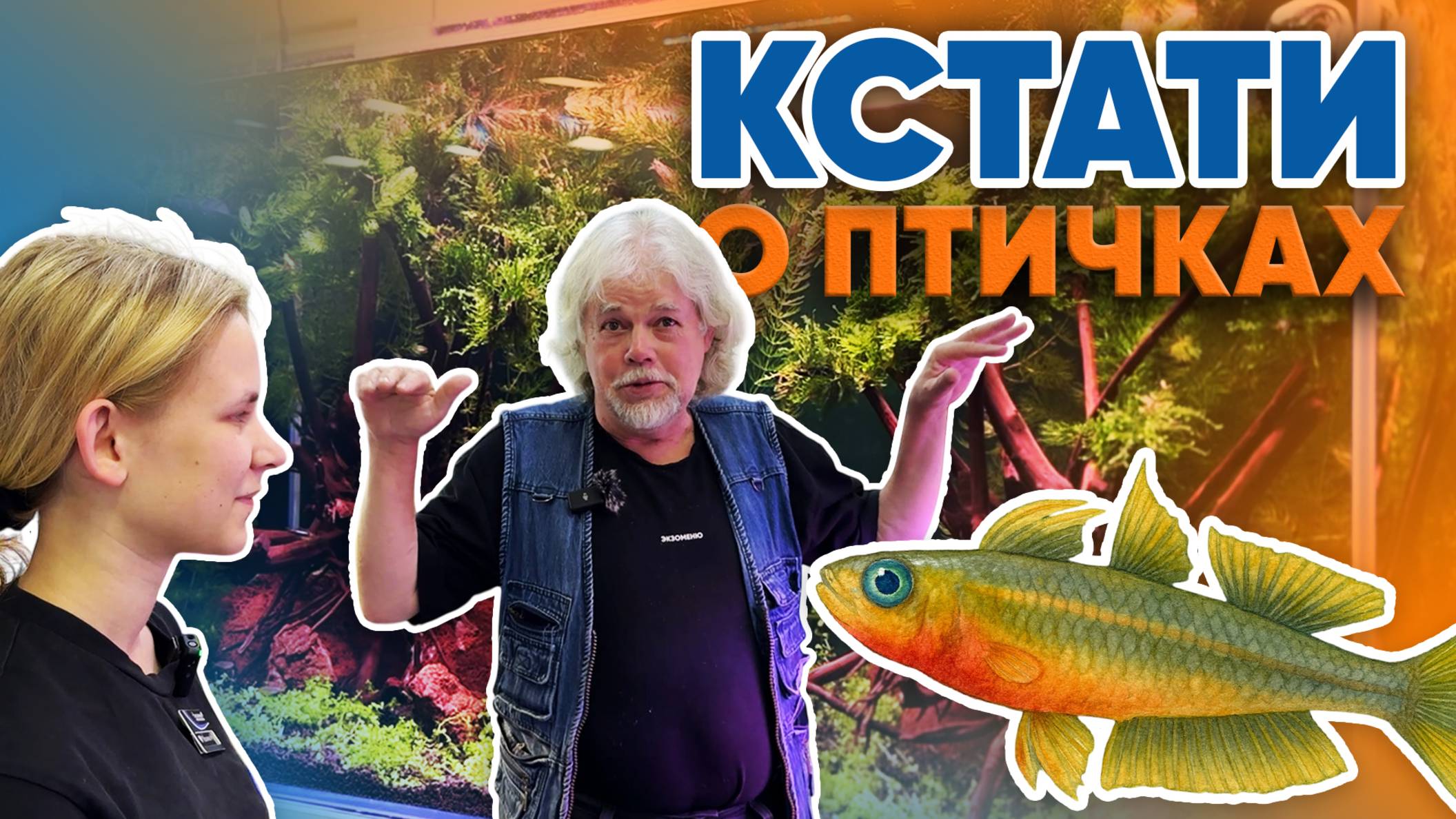 Аквариумные истории из ЭКЗОМЕНЮ (24.10.2025). Кстати о птичках. смотреть онлайн