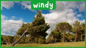 WEATHER WORDS ENGLISH ESL FOR KIDS
