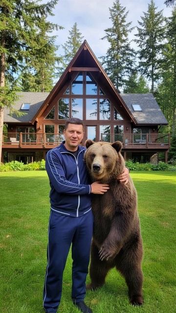 медведь смотреть онлайн