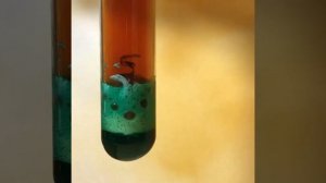 🔥 Как Протекает Реакция Меди И Азотной Кислоты? 🔬