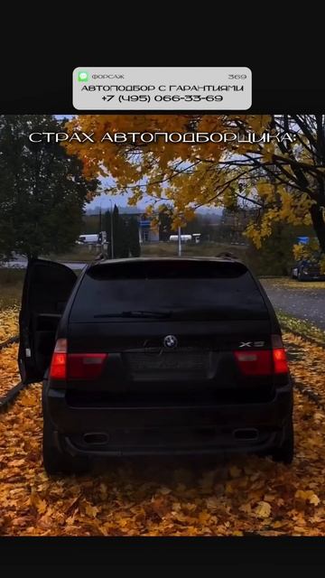 ТОТ САМЫЙ СТРАХ АВТОПОДБОРЩИКА! #автоподбор #привозавто #автоприколы #автоновости #автоюмор смотреть онлайн