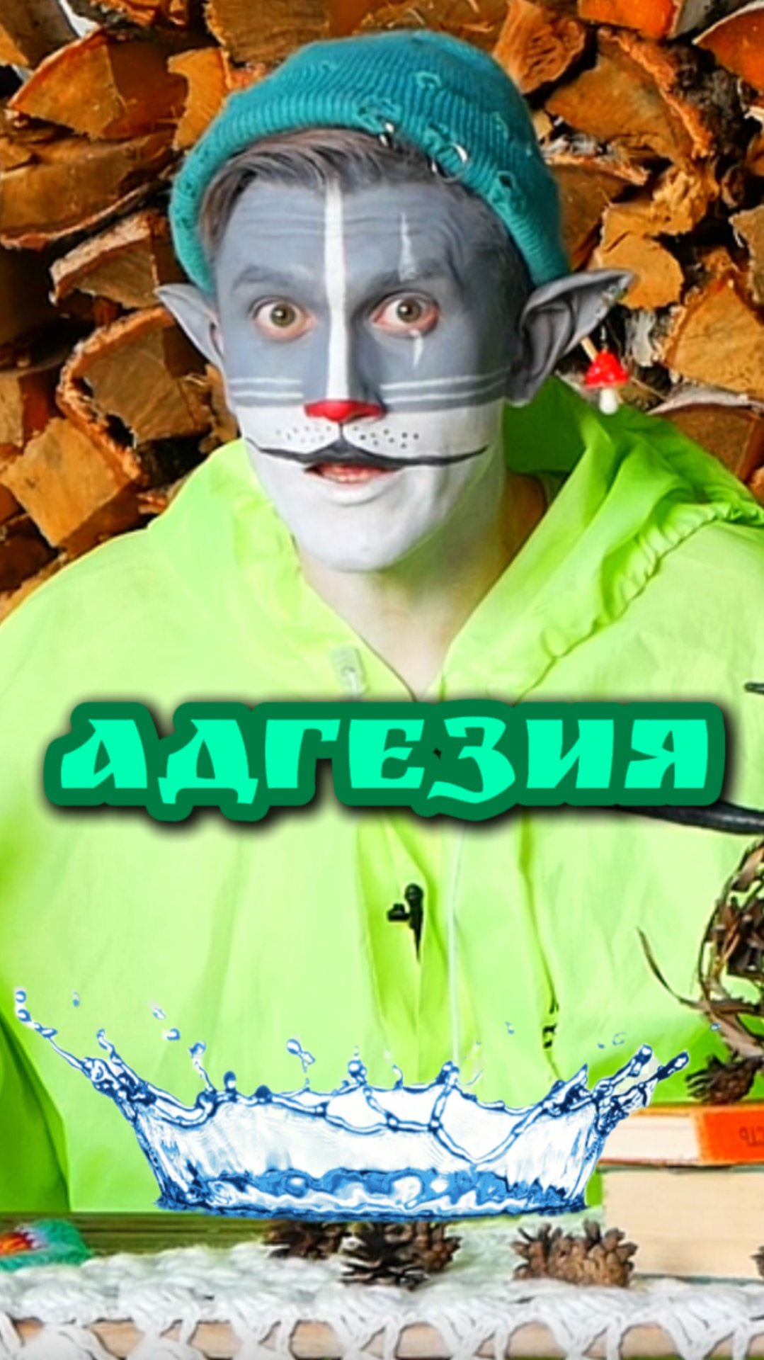 Кот Учёный и Адгезия 👹 смотреть онлайн