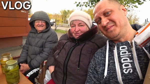 VLOG' ОГОРОД НА ПОДОКОННИКЕ | ВСТРЕТИЛ БЕЛКУ