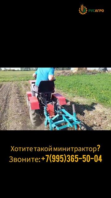 Минитрактор Агромаш МТ-110, уборка картофеля