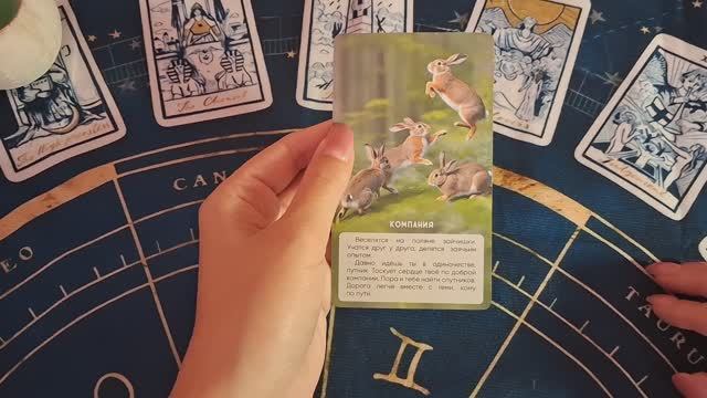 Колода "Волшебный Лес" Краткий рассказ-обзор.