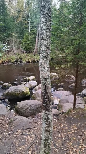 Экотропа вдоль реки Рощинка. смотреть онлайн